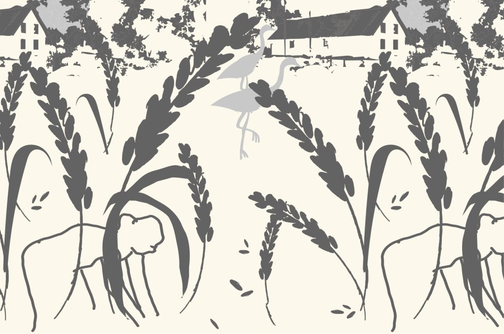 Mönsterkollektionen Vetefält hero print, färgställning 1